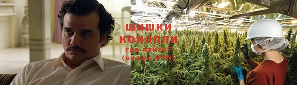 прущие грибы Балахна