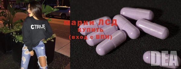 прущие грибы Балахна