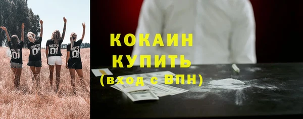 прущие грибы Балахна