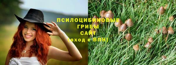 прущие грибы Балахна