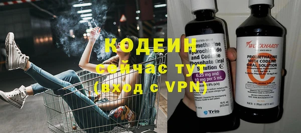 прущие грибы Балахна