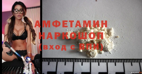прущие грибы Балахна