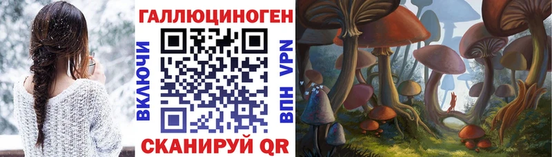 Псилоцибиновые грибы Magic Shrooms  кракен маркетплейс  Малоярославец 